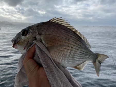 久しぶりの船釣り🎣