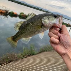 少し時間が出来たので