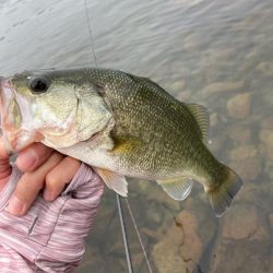 秋の北湖で数釣り