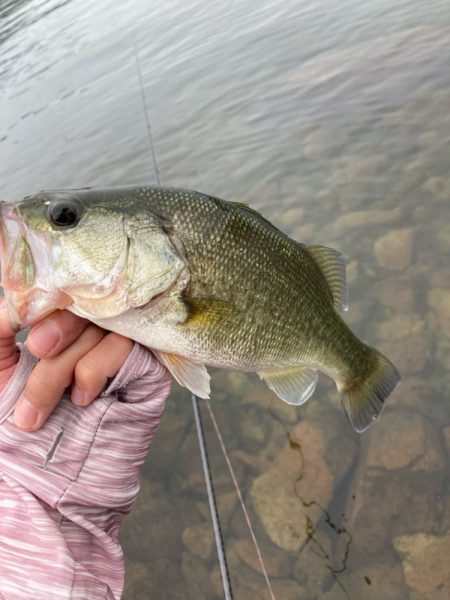 秋の北湖で数釣り