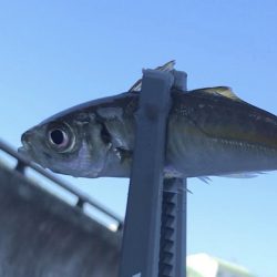 道の駅あわじ