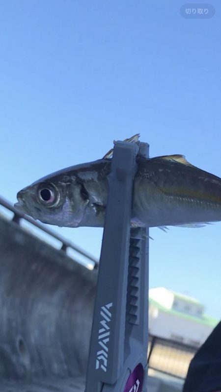 道の駅あわじ