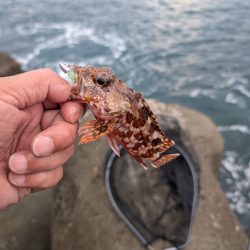 陸っぱり釣行記