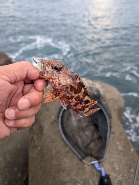 陸っぱり釣行記