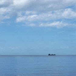 ショアジギ 静寂の中何とか1本