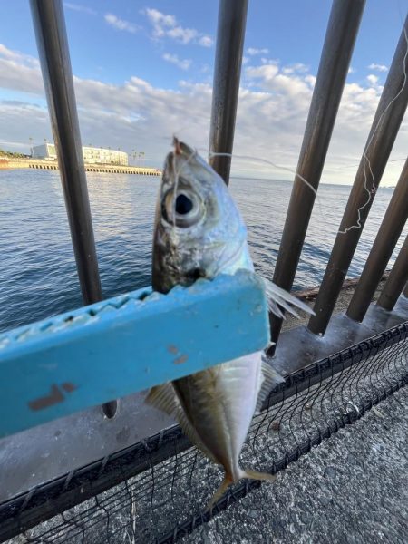 人マジシャン　魚少なめ