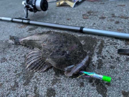 遂に出た！！マツカワガレイ！！カジカ！！コマイ！！北海道最後の釣り！！