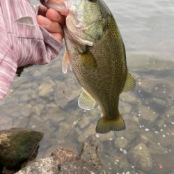 秋の北湖で数釣り