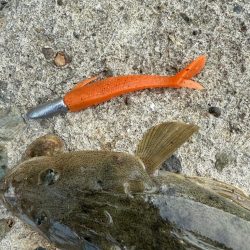 マゴチ　ヒラメ釣り