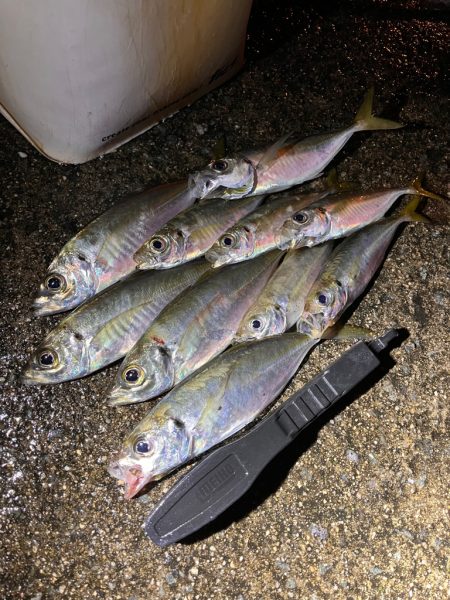 2夜連続釣行