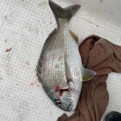 久しぶりの船釣り🎣