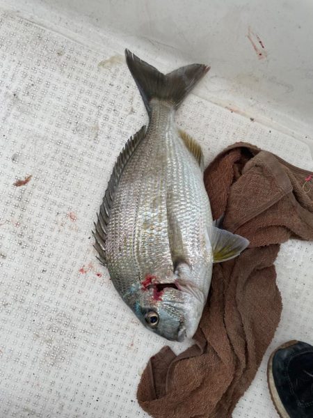 久しぶりの船釣り🎣