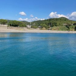 ゲキシブの中の一杯