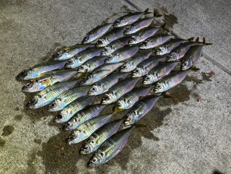 ポイントによって反応が全然違う！爆釣ポイントなら何ぼでも釣れます！！