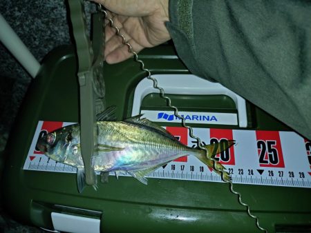 今季初フロートアジング🎣