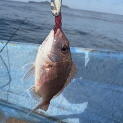 波戸岬沖でモンスターショット