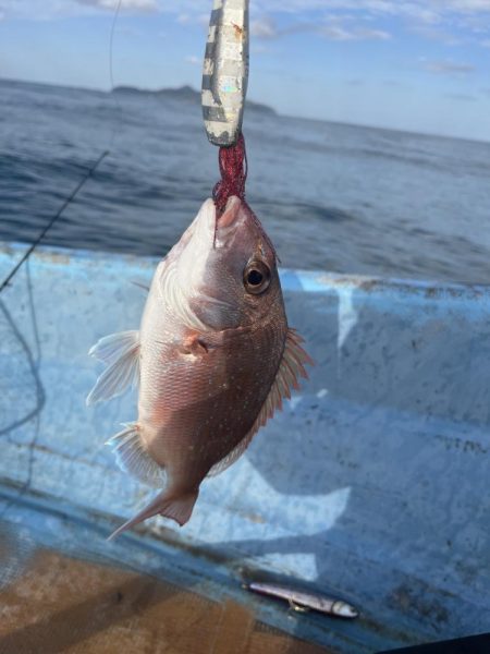 波戸岬沖でモンスターショット