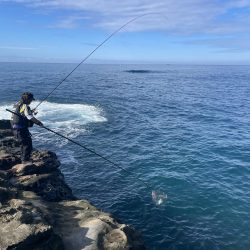 和歌山市江（吉丸渡船）でグレ釣り