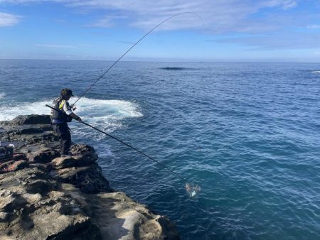 和歌山市江（吉丸渡船）でグレ釣り