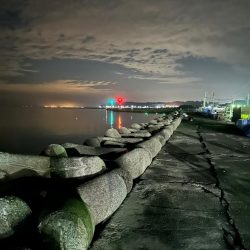 夜釣りで、太刀魚釣り、落ちギス釣り