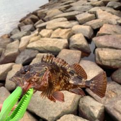 魚住〜江井ヶ島釣行！