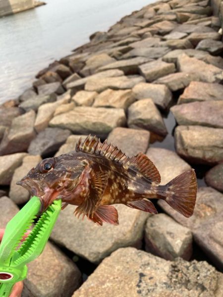 魚住〜江井ヶ島釣行！