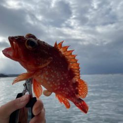 久しぶりの船釣り🎣