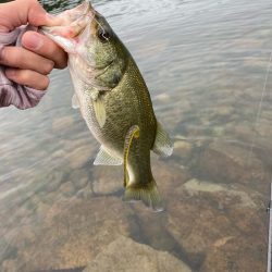 秋の北湖で数釣り