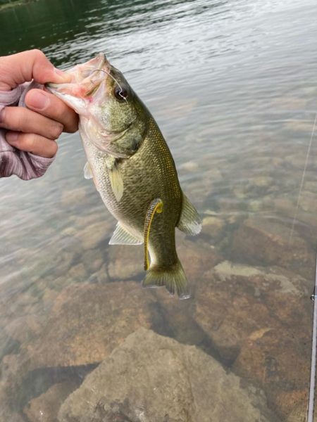 秋の北湖で数釣り