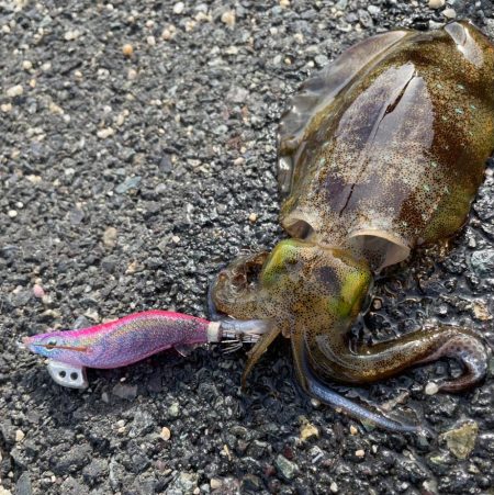 10月最後の土日