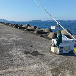 苅屋海岸のキス釣り