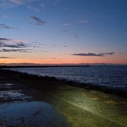 苅屋海岸のキス釣り