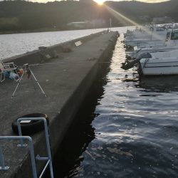 久々子湖で強風の中でサヨリ釣り