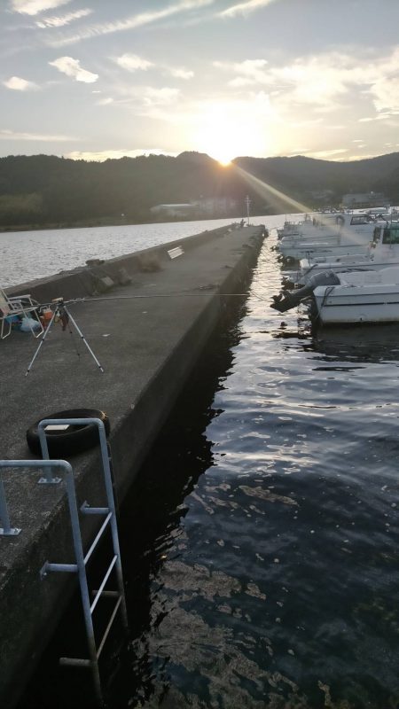 久々子湖で強風の中でサヨリ釣り