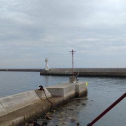 浦港のキス調査