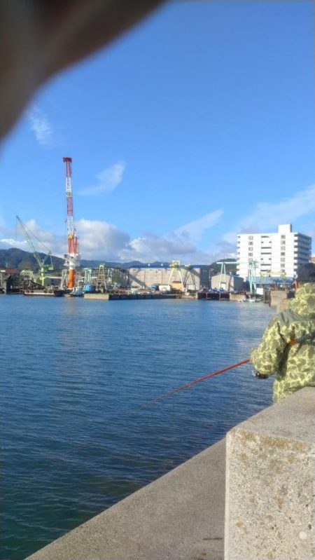 淡路浦港のキス