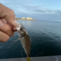 人マジシャン　魚少なめ