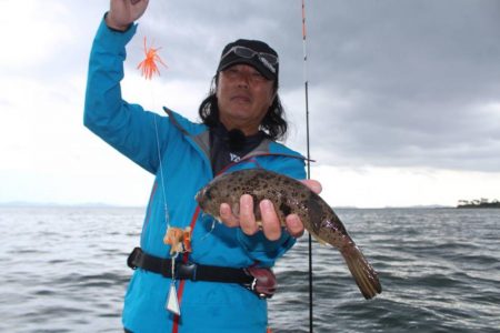 日間賀島のカットウ釣り