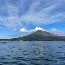 カンパチ、太刀魚、アラカブ、ホシガツオ…