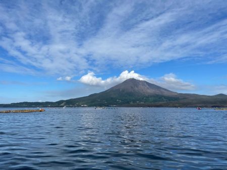 カンパチ、太刀魚、アラカブ、ホシガツオ…