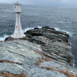 高島 アシカ瀬