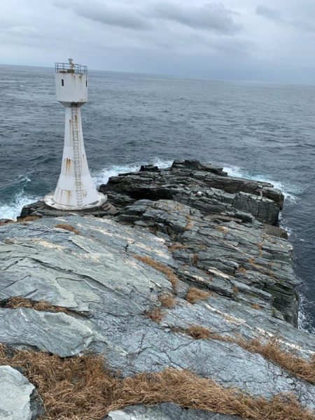 高島 アシカ瀬