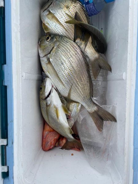 久しぶりの船釣り🎣