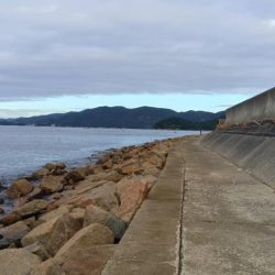 苅屋海岸のキス釣り