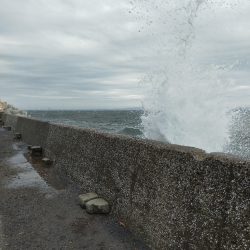 朝の釣り場は満員御礼