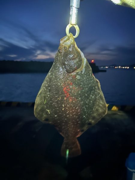 遂に出た！！マツカワガレイ！！カジカ！！コマイ！！北海道最後の釣り！！