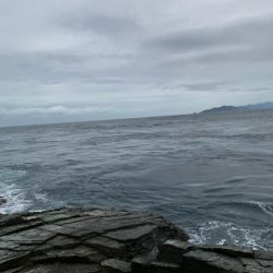 高島 アシカ瀬