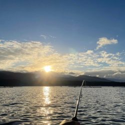 カンパチ、太刀魚、アラカブ、ホシガツオ…