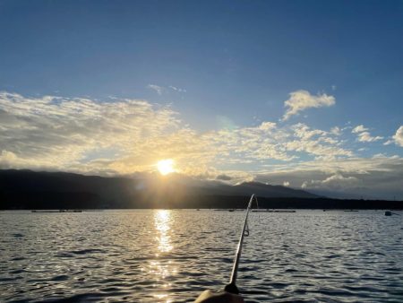 カンパチ、太刀魚、アラカブ、ホシガツオ…