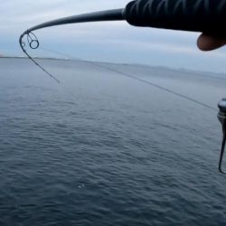 今日は縦の釣り🎣